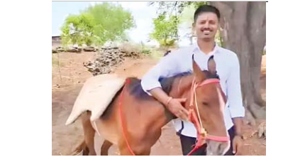 horse